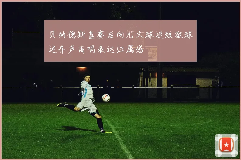 贝纳德斯基赛后向尤文球迷致敬球迷齐声高唱表达归属感