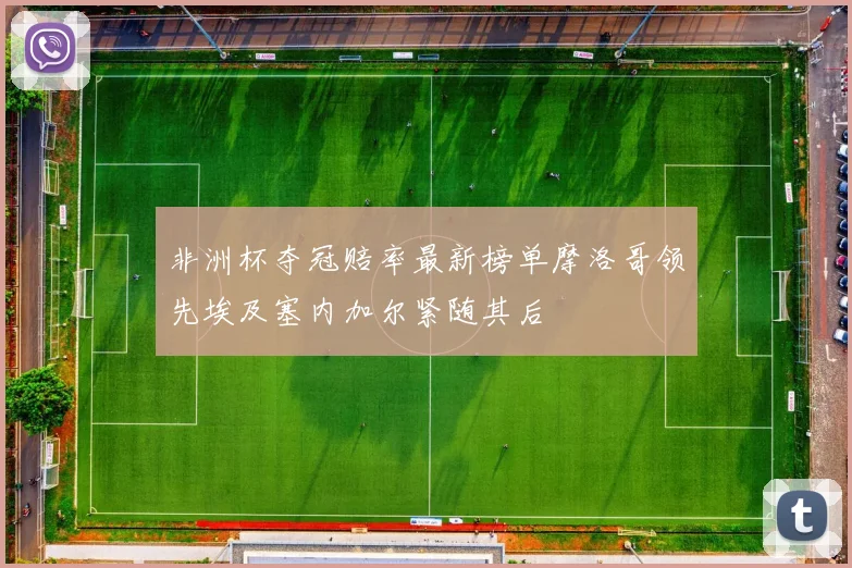 非洲杯夺冠赔率最新榜单摩洛哥领先埃及塞内加尔紧随其后