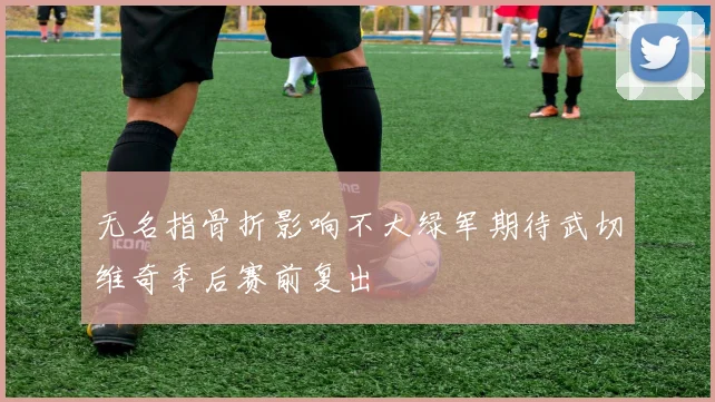 无名指骨折影响不大绿军期待武切维奇季后赛前复出