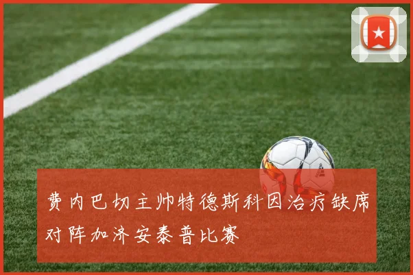 费内巴切主帅特德斯科因治疗缺席对阵加济安泰普比赛