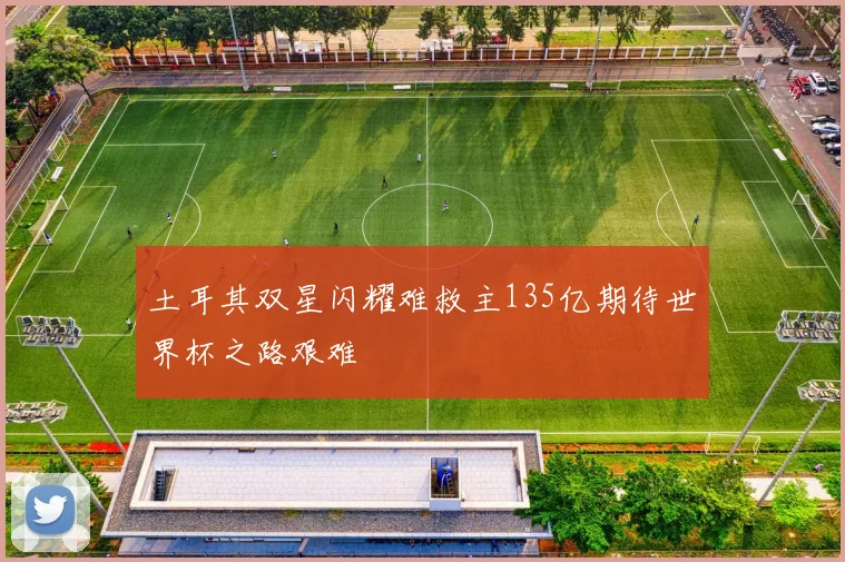 土耳其双星闪耀难救主135亿期待世界杯之路艰难