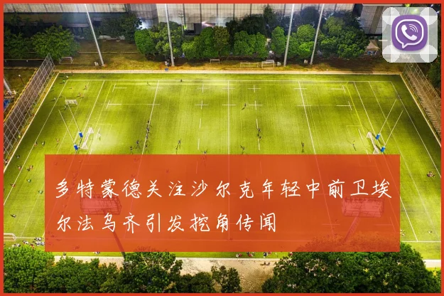 多特蒙德关注沙尔克年轻中前卫埃尔法乌齐引发挖角传闻